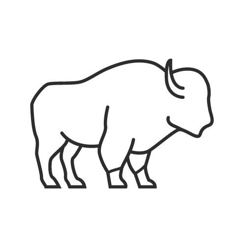 Bison